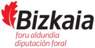 Bizkaia-Foru-Aldundia